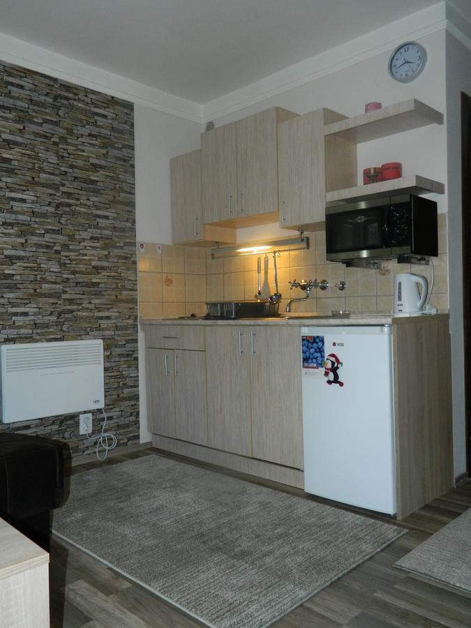 Apartment Sofi Yeti โคเปานิก ภายนอก รูปภาพ